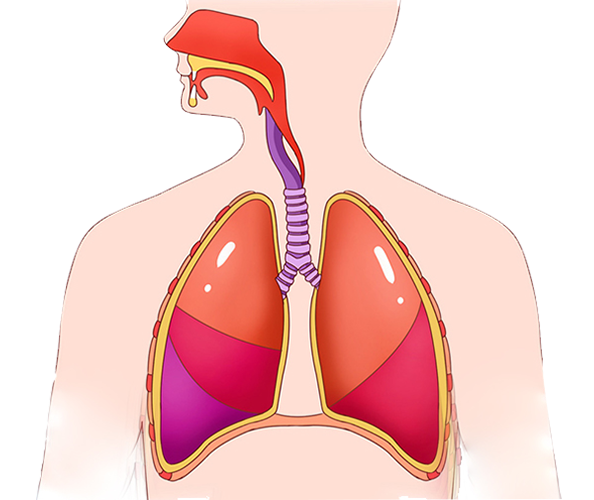BETWAY(ķ)ٷվ-West Ham United