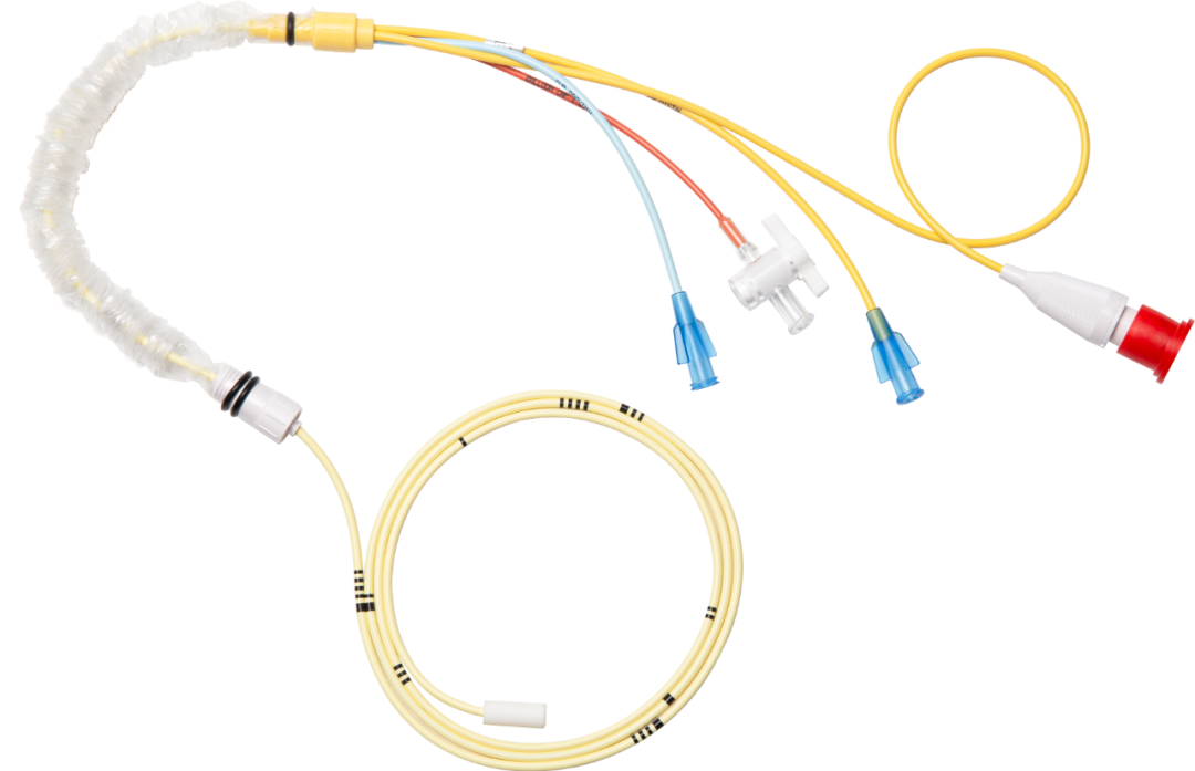 BETWAY(ķ)ٷվ-West Ham United