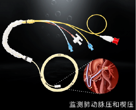 BETWAY(ķ)ٷվ-West Ham United