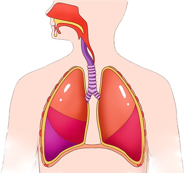 BETWAY(ķ)ٷվ-West Ham United