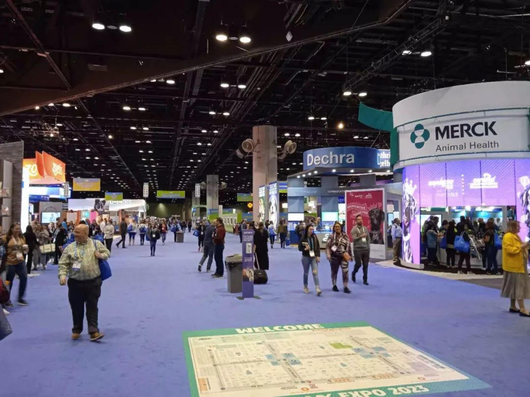 BETWAY(ķ)ٷվ-West Ham United