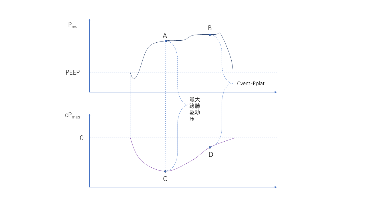BETWAY·必威(西汉姆联)官方网站-West Ham United